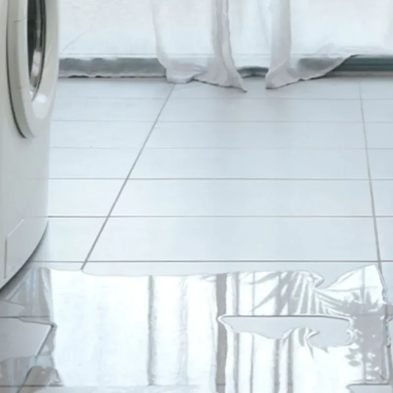 Appliance Leak Cleanup in Shenandoah, LA